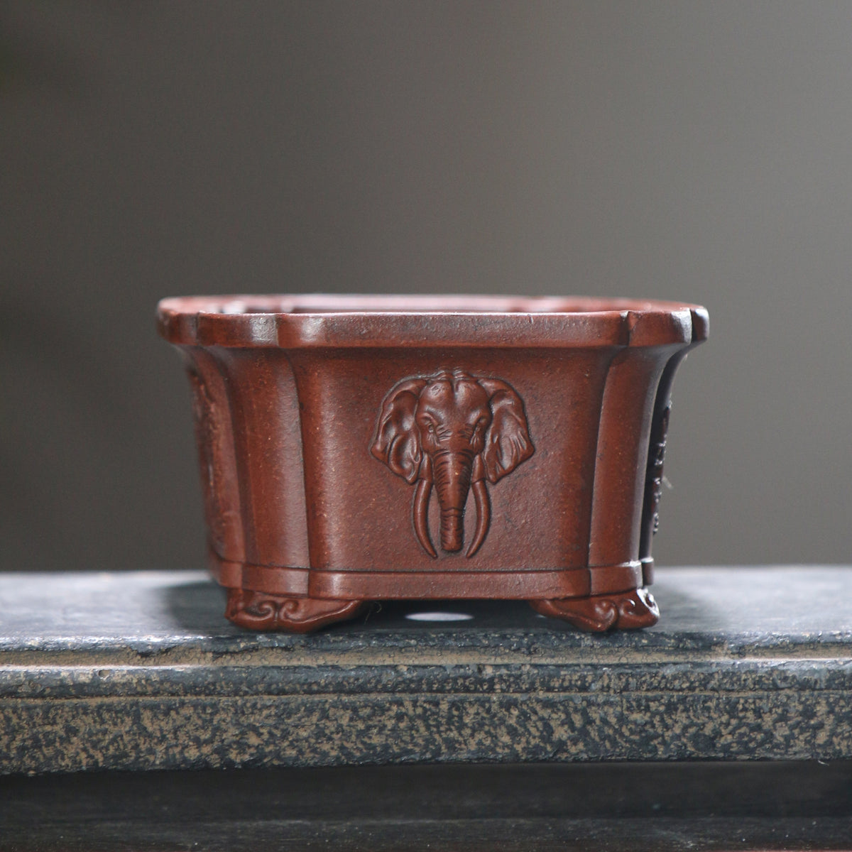 Elephant Relief Rectangular Planter