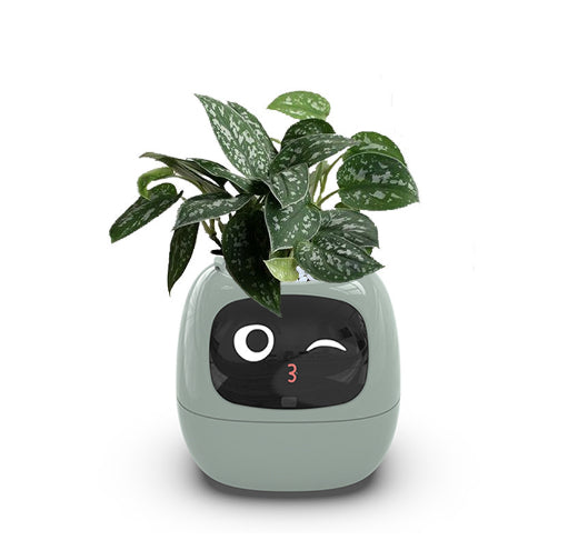 Green Face-Screen Planter